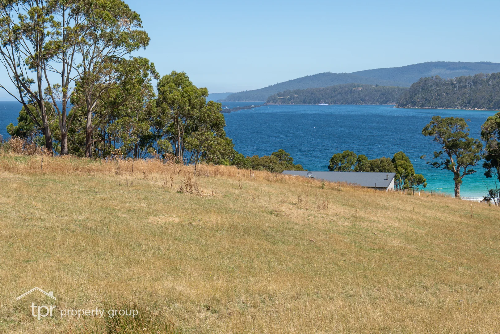 Image 14