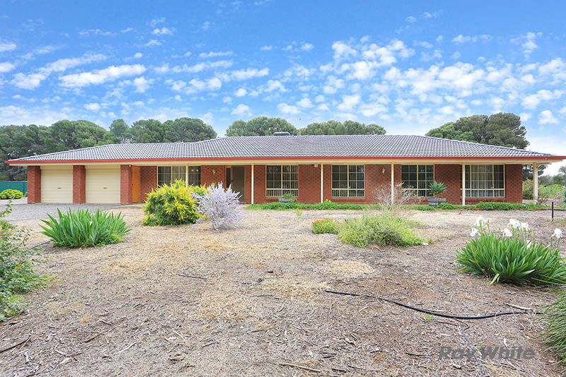 13 Artesian Road, Two Wells SA 5501, Image 0