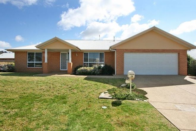 Picture of 38 Fitzroy Street, TATTON NSW 2650