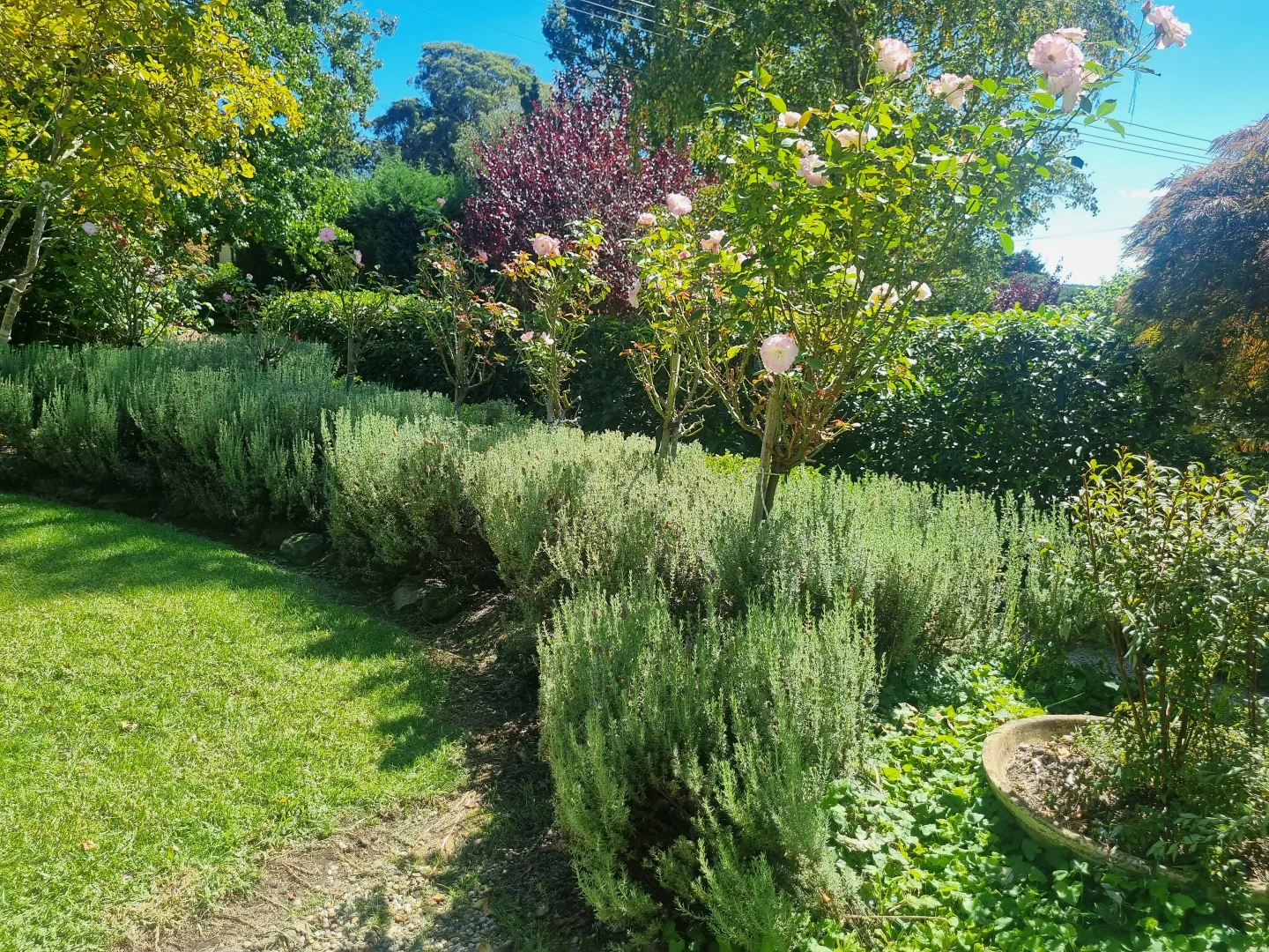 Additional image 20 of 2D Faraday Street, Mittagong NSW 2575