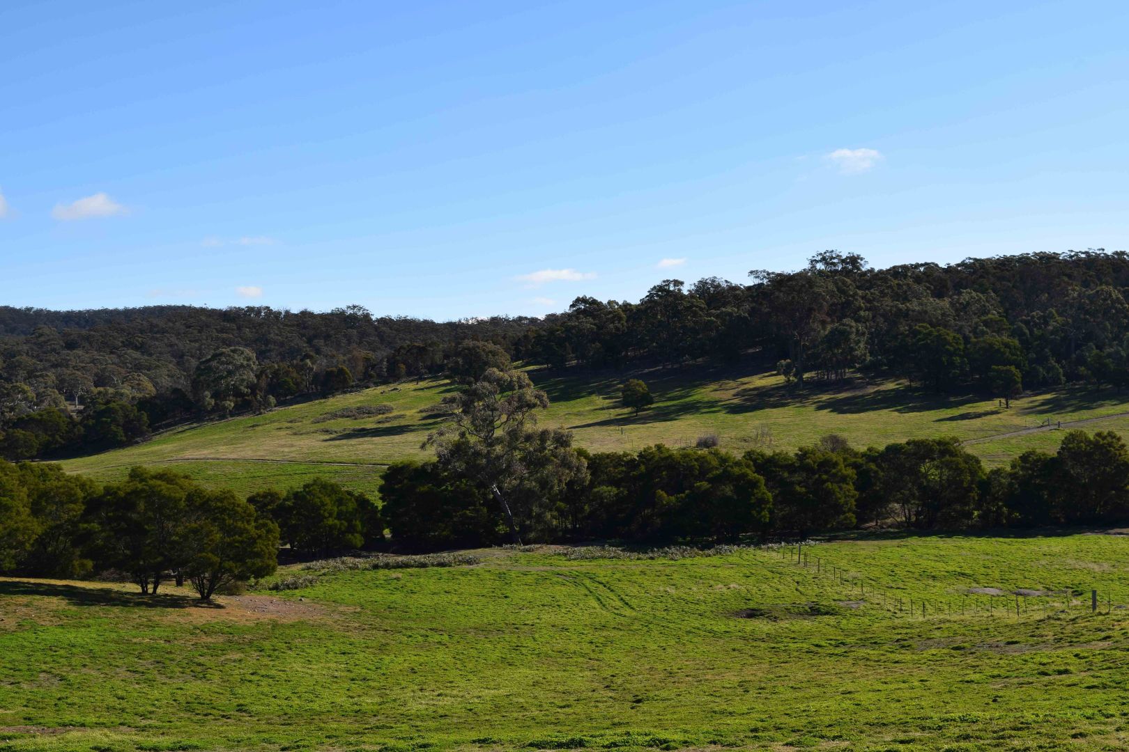 24, 45 Robinson Road, Goulburn NSW 2580, Image 1