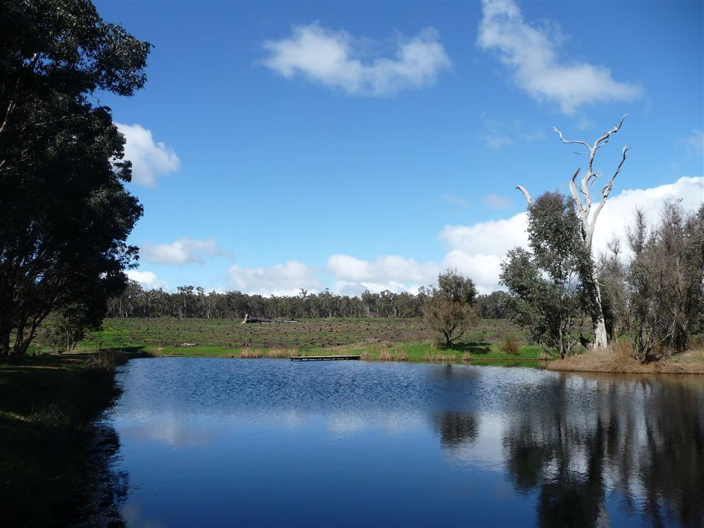 Manjimup WA 6258 House for Sale 470,000 Domain