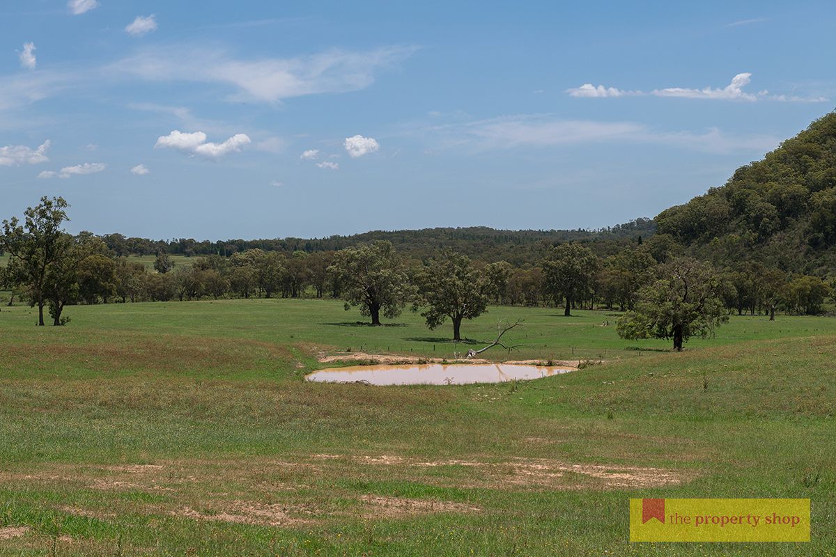 1390 Bara Road, Bara NSW 2850, Image 2