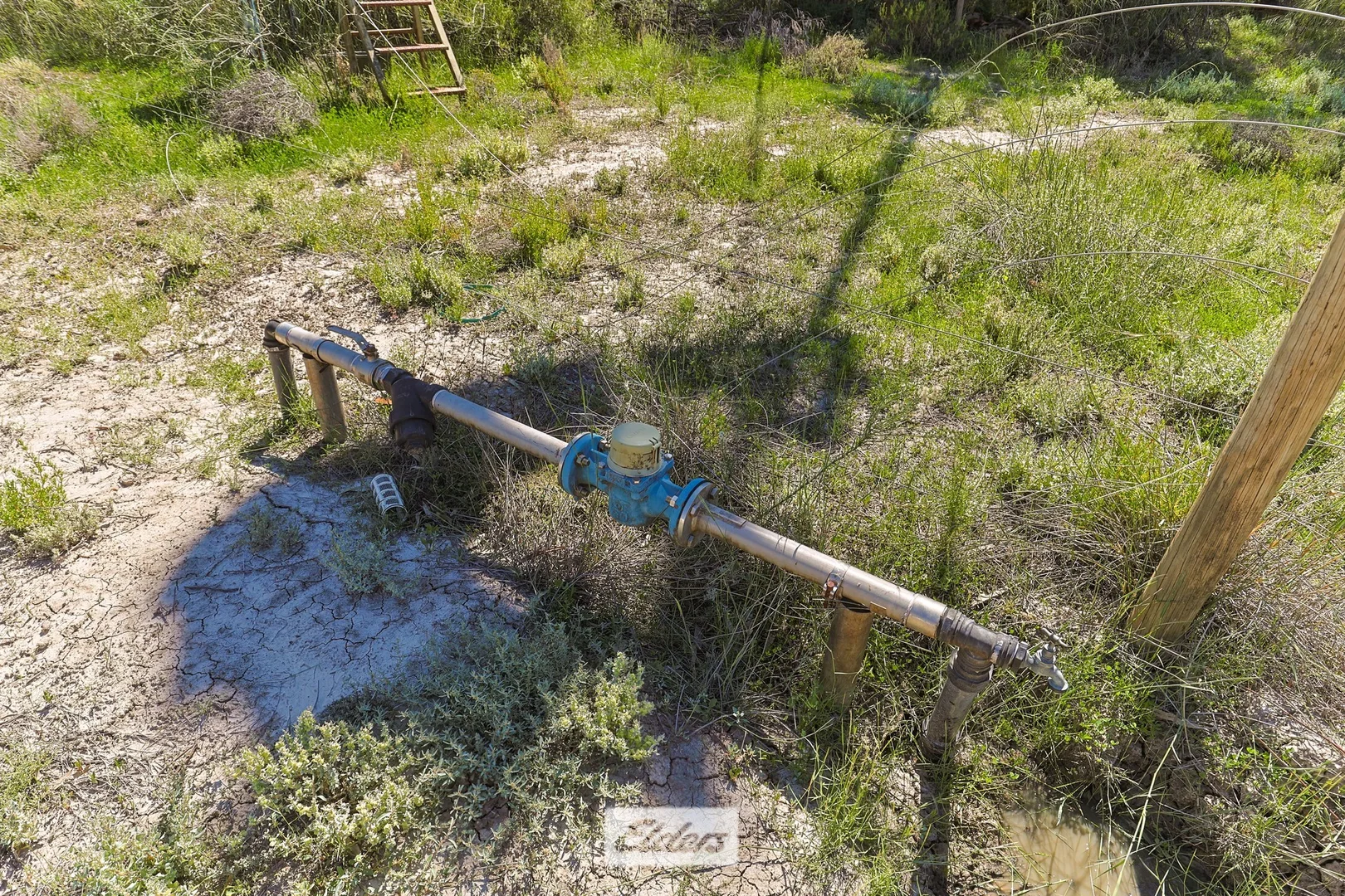 Image 8