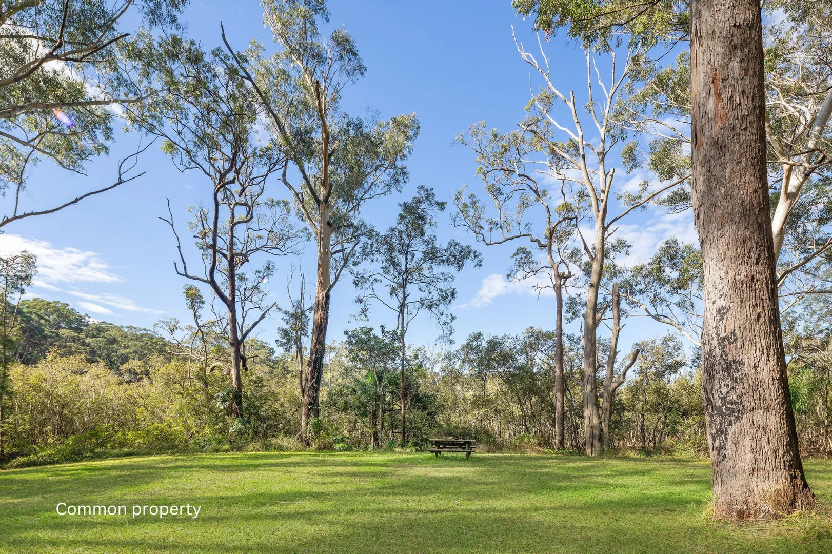 Additional image 9 of 539 Pacific Highway, Boambee NSW 2450