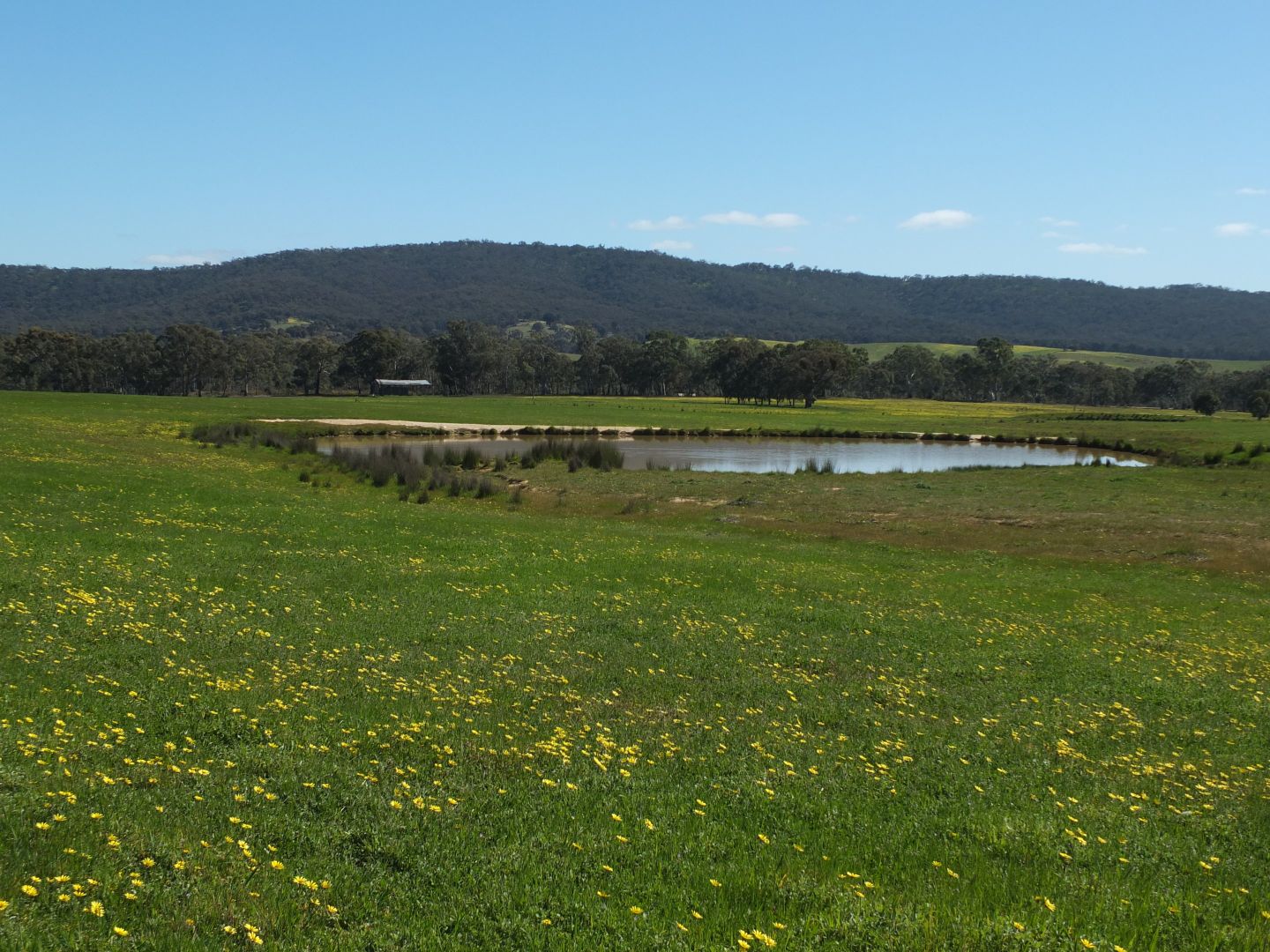 CA 13 Stawell-Avoca Rd, Barkly VIC 3384, Image 1