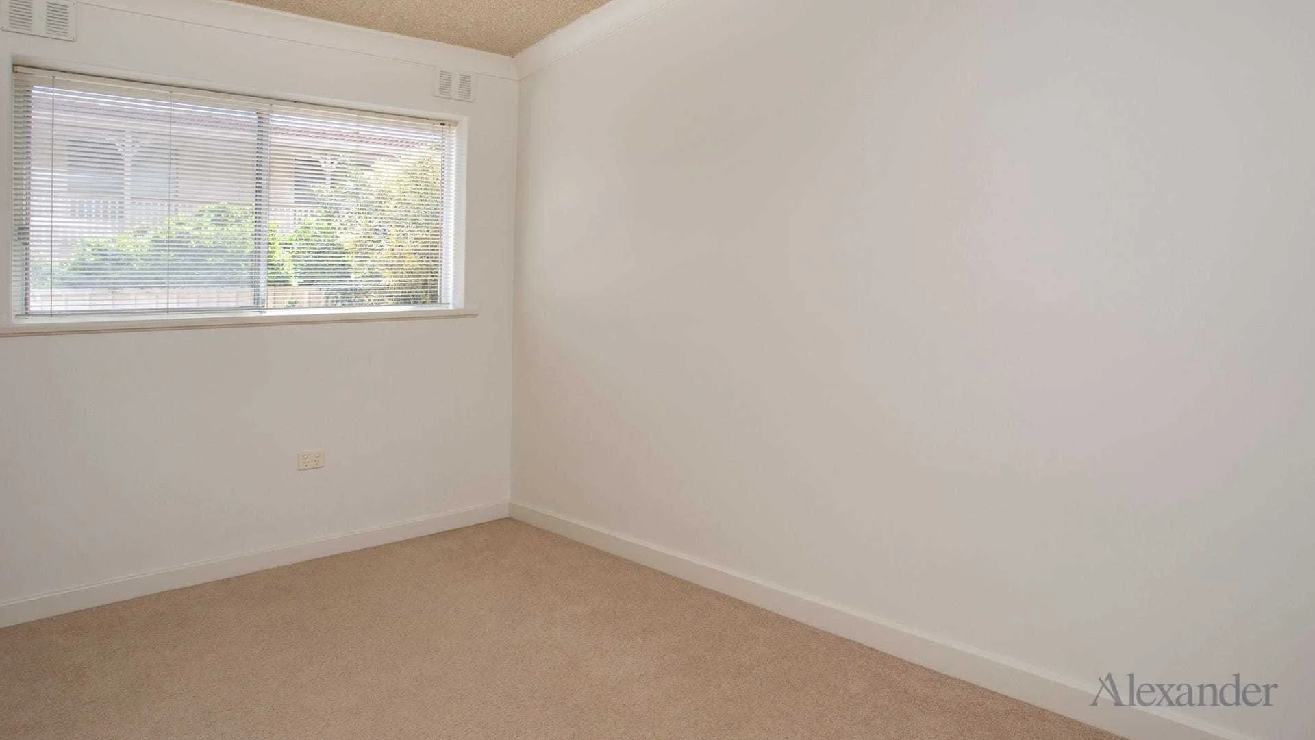 Additional image 7 of 2/31 Everard Avenue, Ashford SA 5035