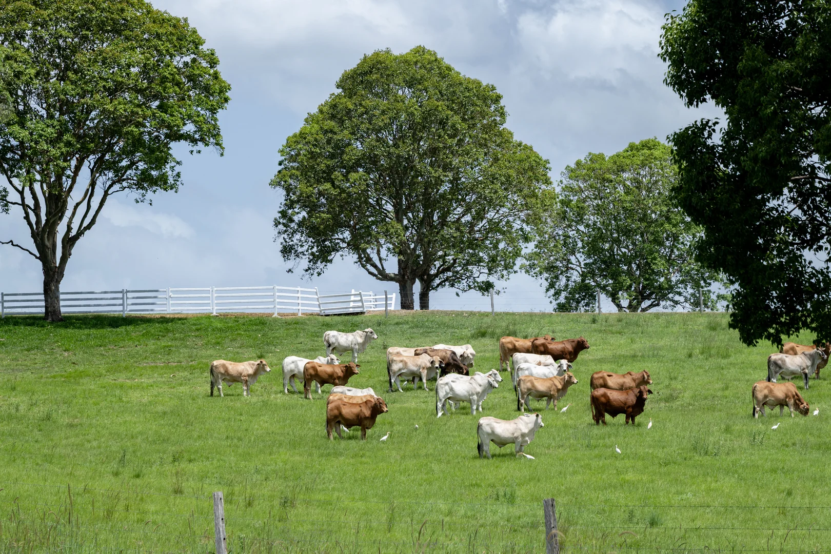 Additional image 25 of 75 Kajarabie Road, Lagoon Pocket QLD 4570