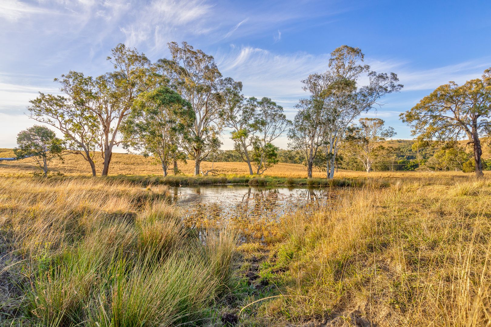 Lot 12 Henneys Road, Dungog NSW 2420, Image 2