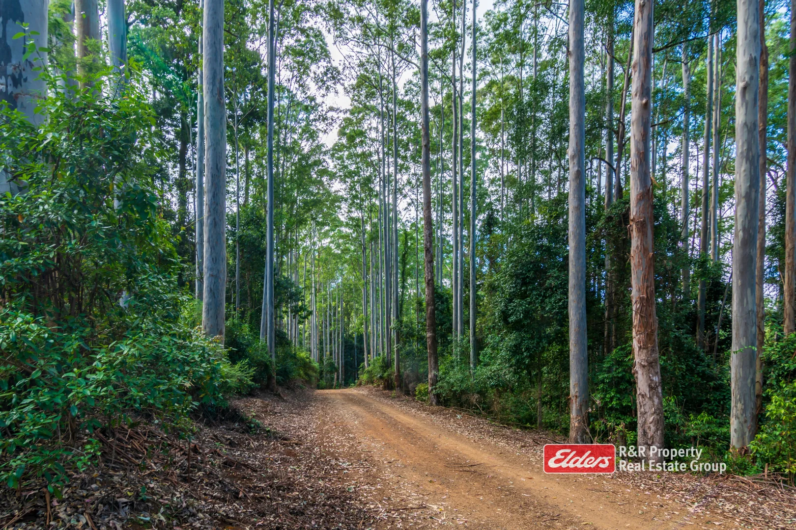 Additional image 2 of Off Thunderbolts Way, MARES RUN via, Gloucester NSW 2422