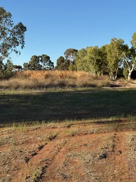 Image 15
