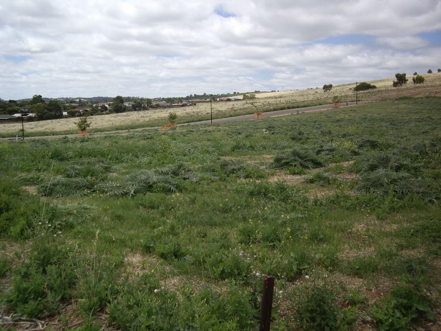 Lot 73 Highview Drive, Hillbank SA 5112, Image 2