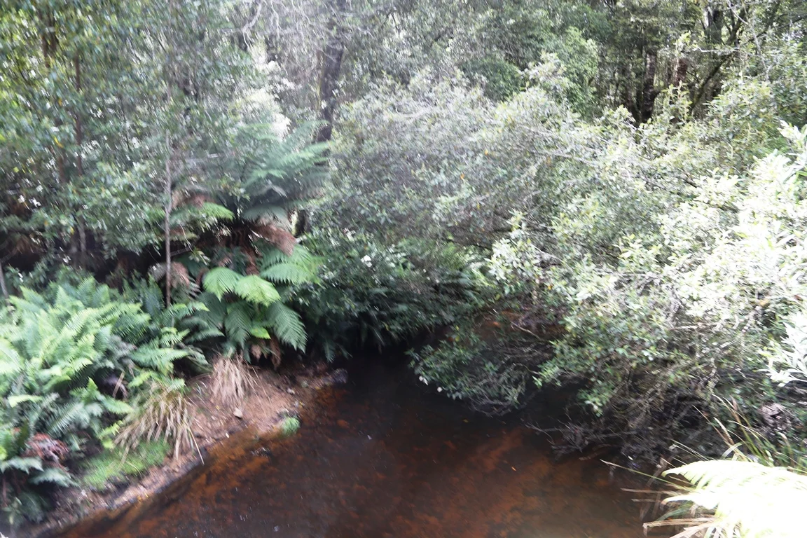 Image 14