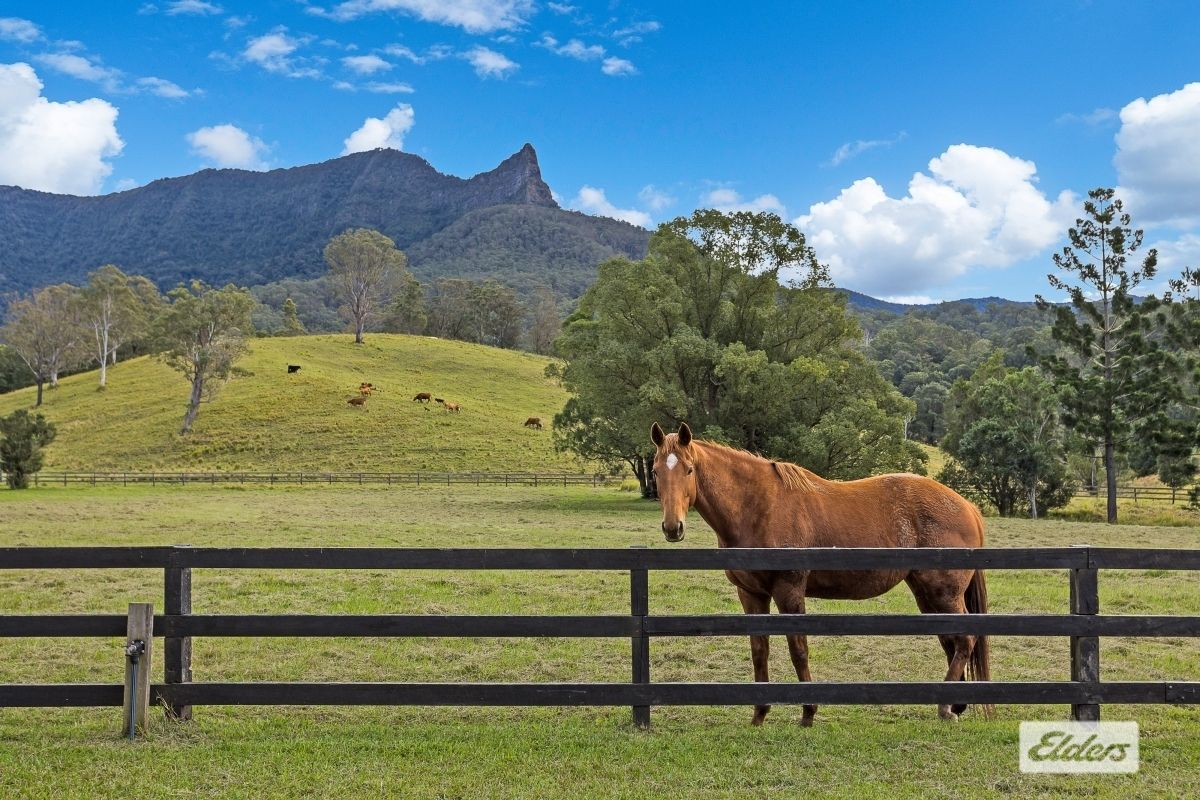 328 Back Creek Road, Back Creek NSW 2484, Image 2