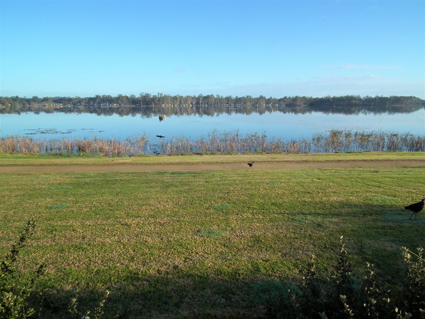 22 (Lot 537) Lakeside Drive, Nagambie VIC 3608, Image 1