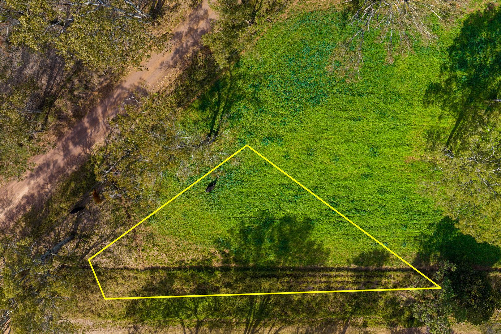 Lot 1 Collard Road, Mooloo QLD 4570, Image 2