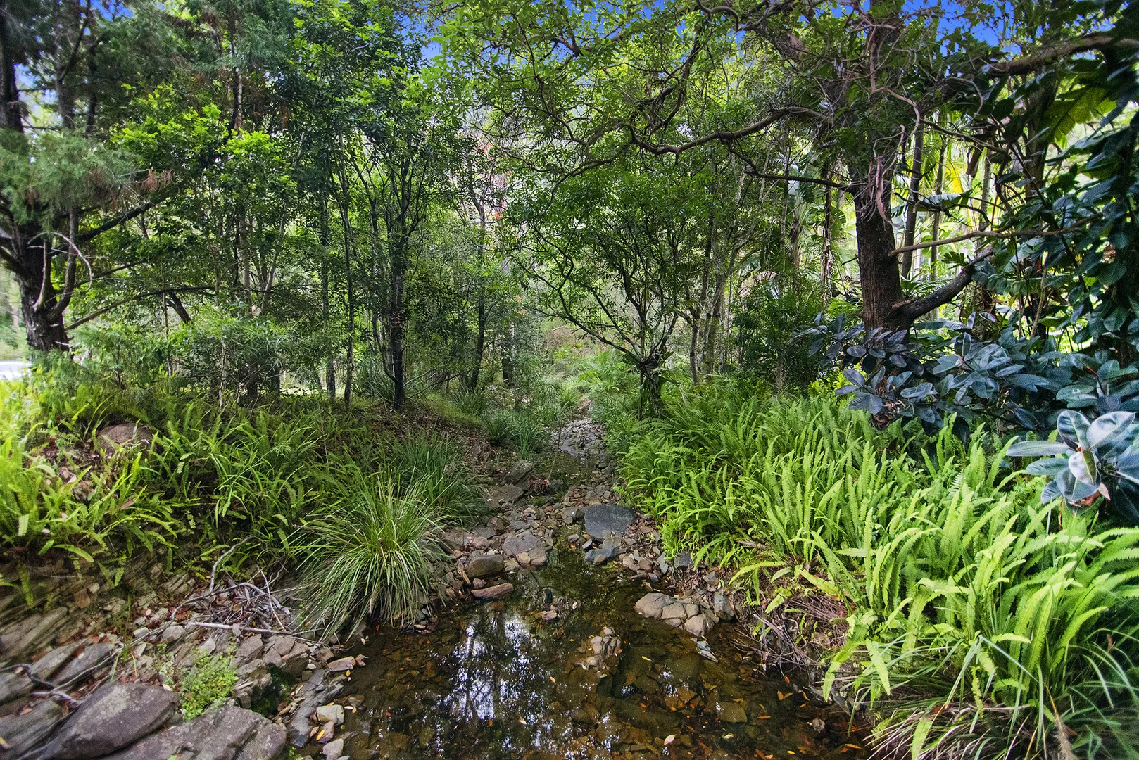 Image 12