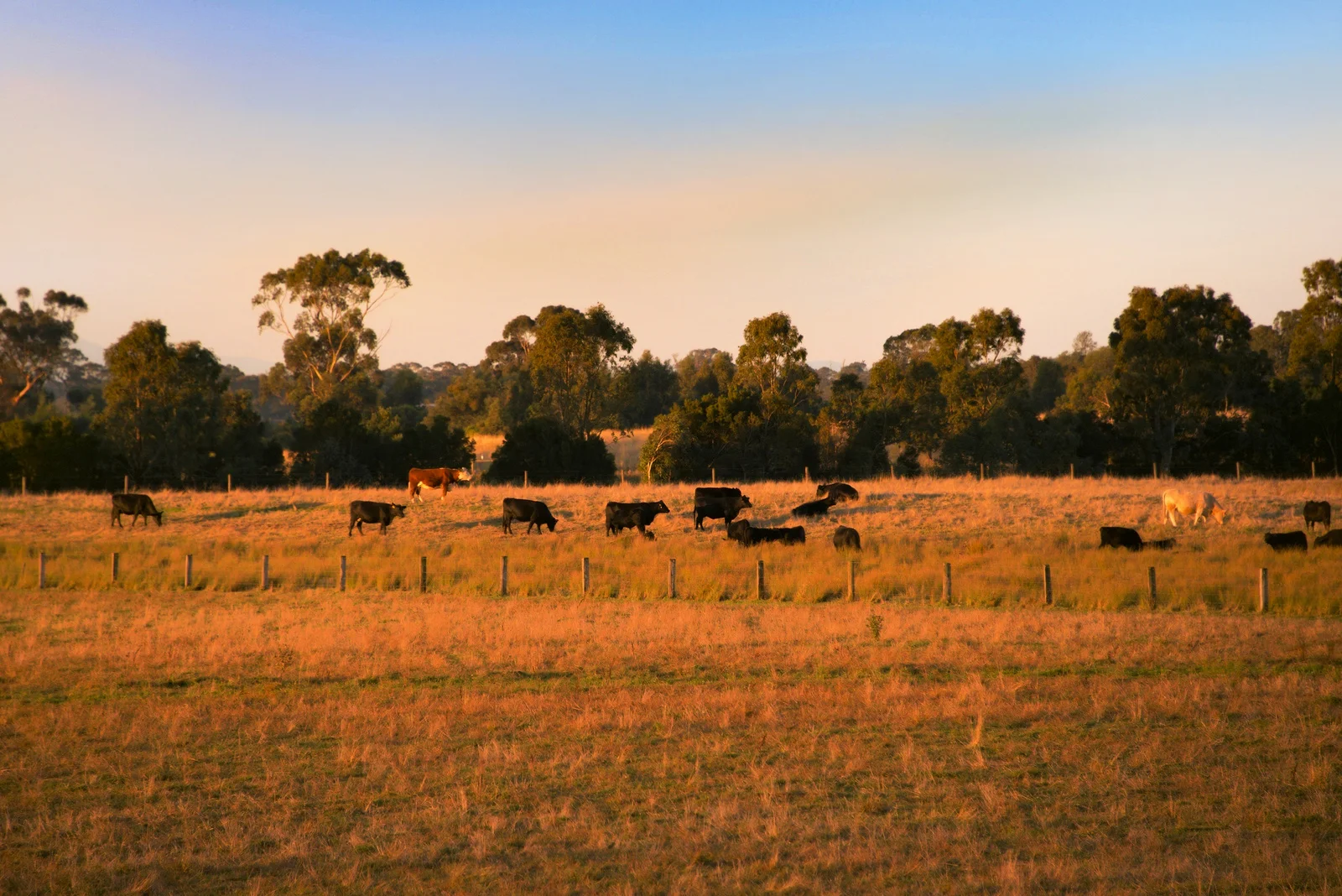 Additional image 19 of 89 Riverslea Boulevard, Traralgon VIC 3844