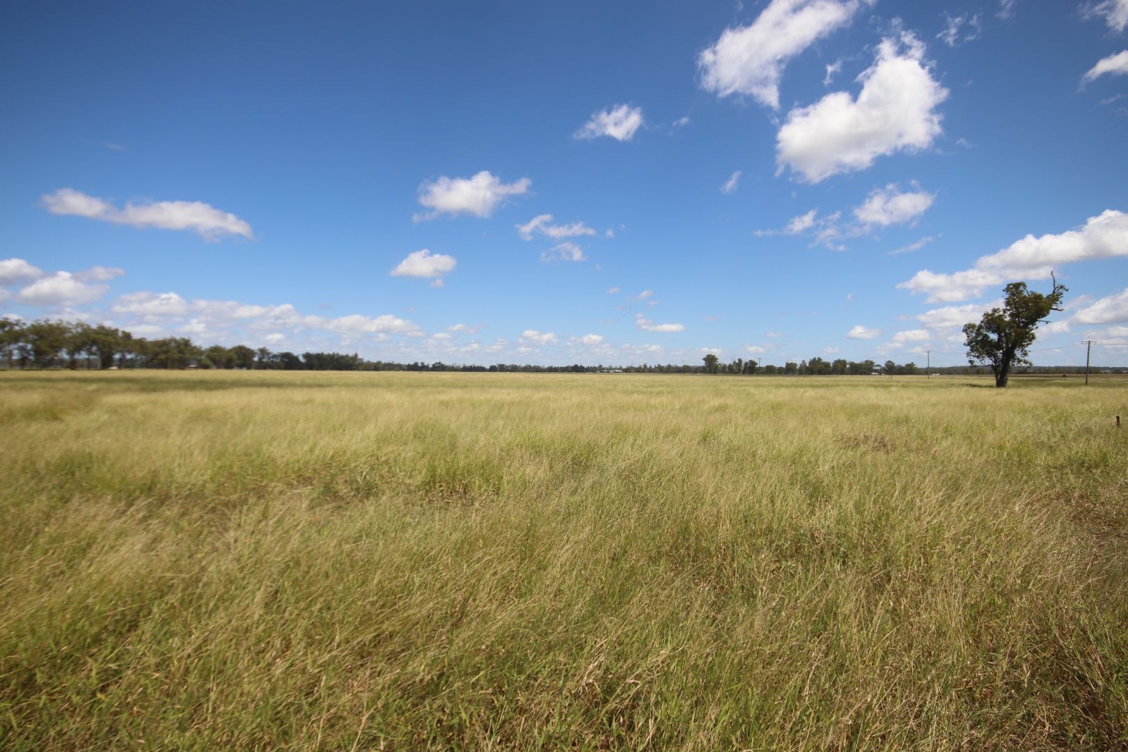 Lot 1/190 Loakes Road, Riverleigh, Mundubbera QLD 4626, Image 1