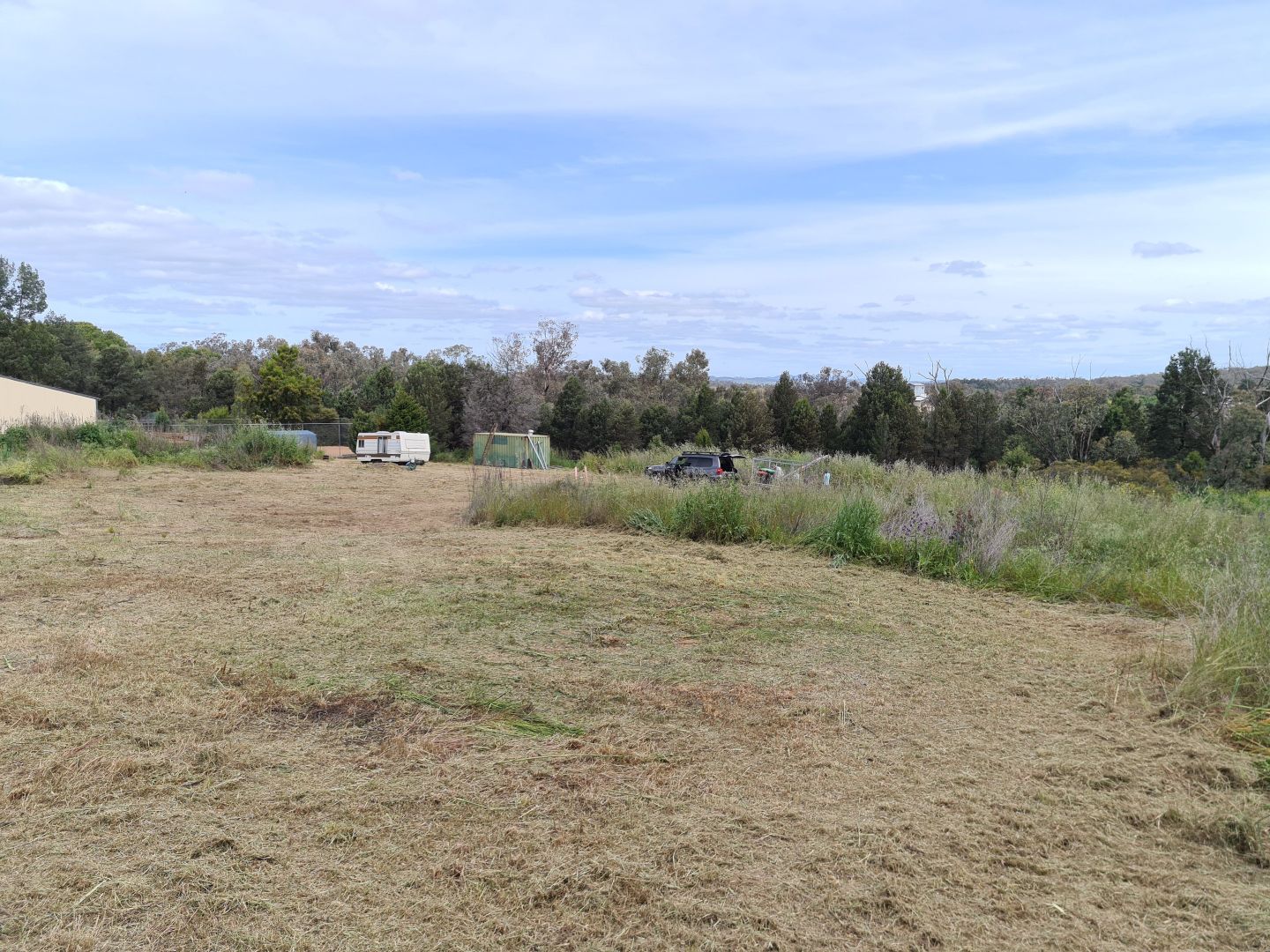 8890 HILL STREET, Geurie NSW 2818 Domain