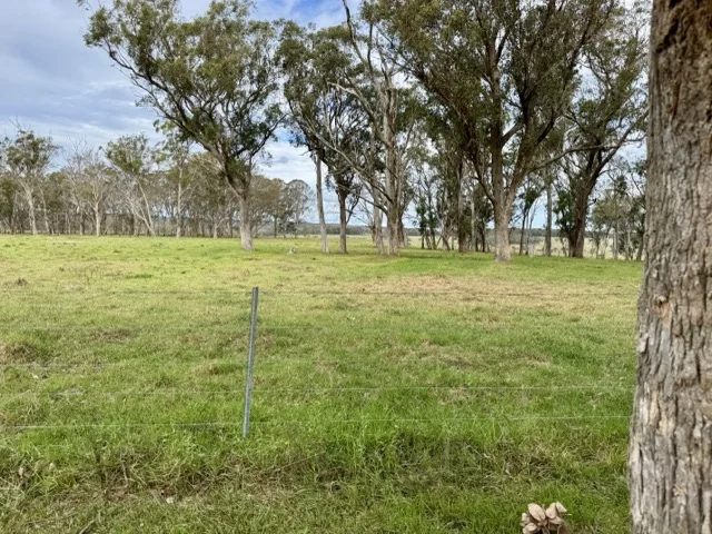 Additional image 7 of 5440 Mount Lindesay Road, Liston NSW 2372