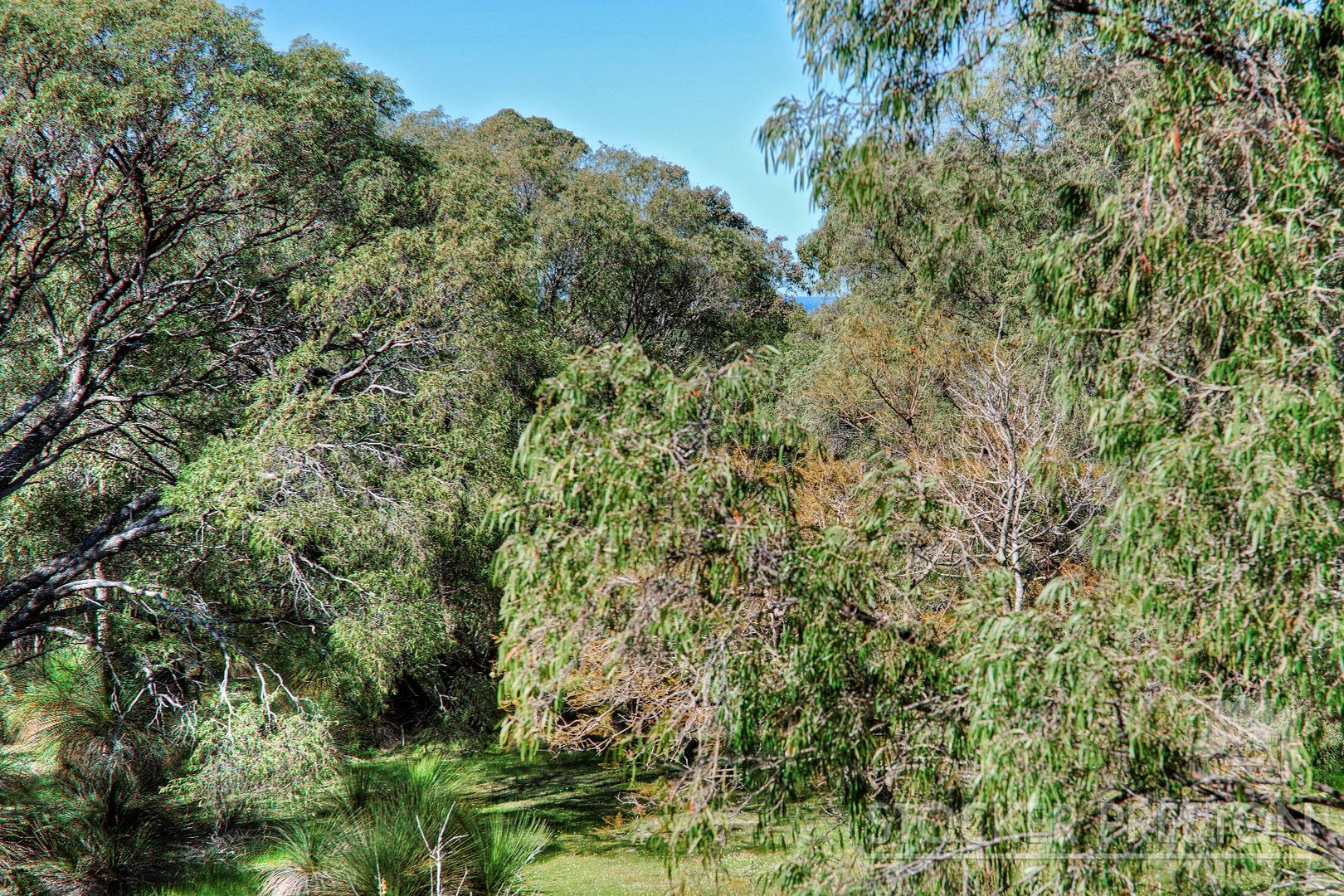 45 Yungarra Drive, Quedjinup WA 6281, Image 1