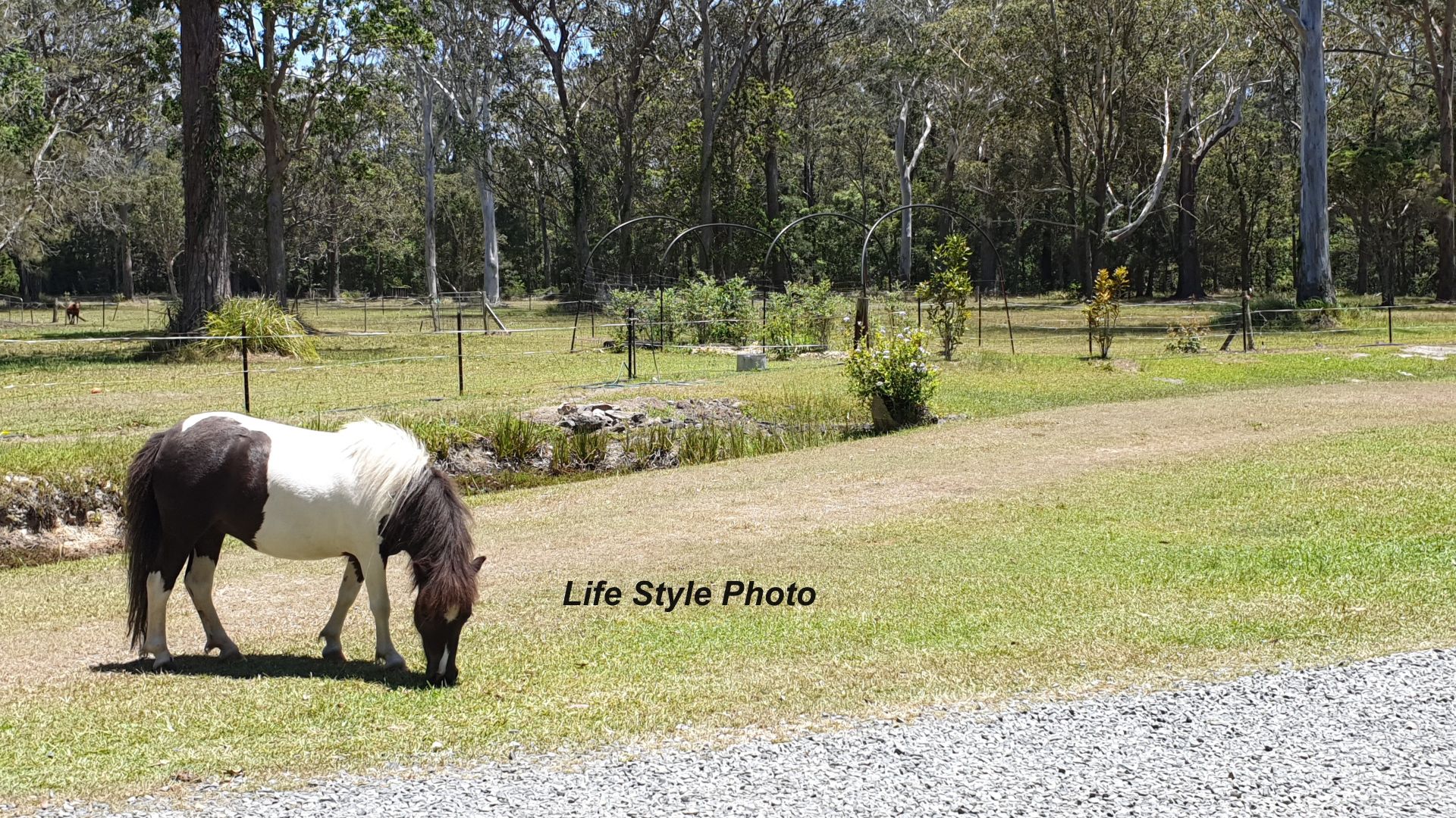 55 Tiki Road, Moonee Beach NSW 2450 House for Sale Domain