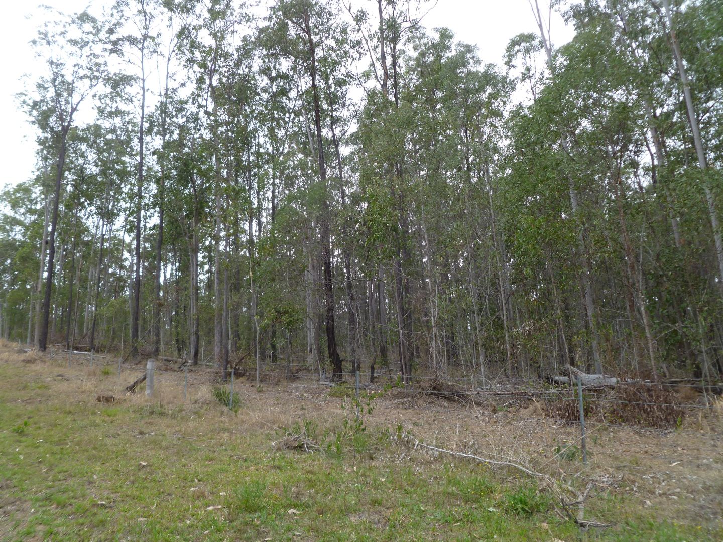 (Lot 21) 2923 Old Tenterfield Road, Busbys Flat NSW 2469, Image 1