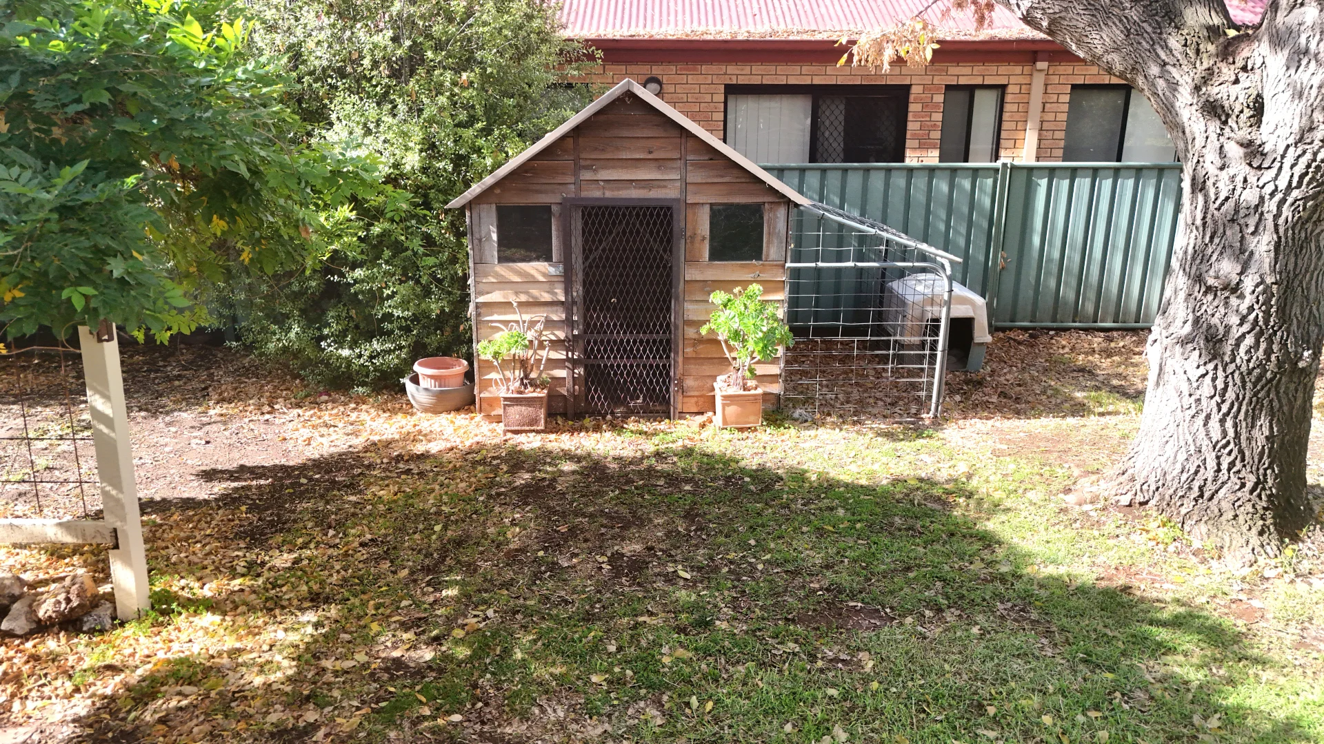 Image 29