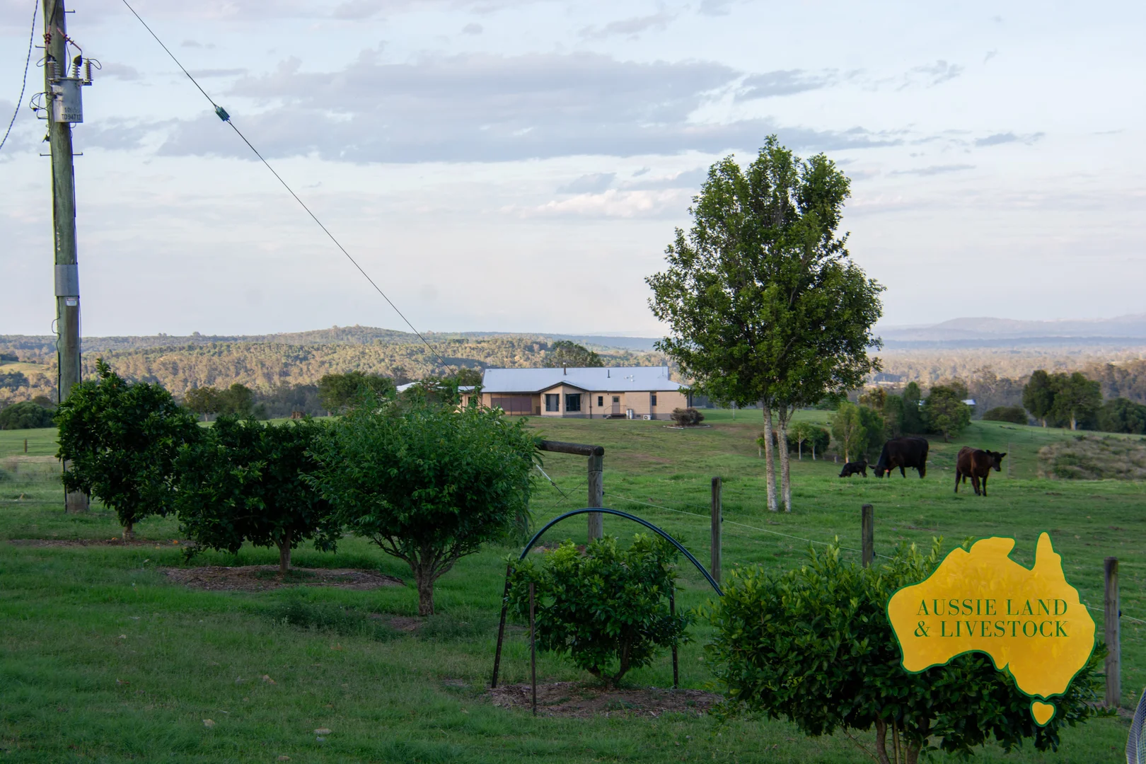 Image 25