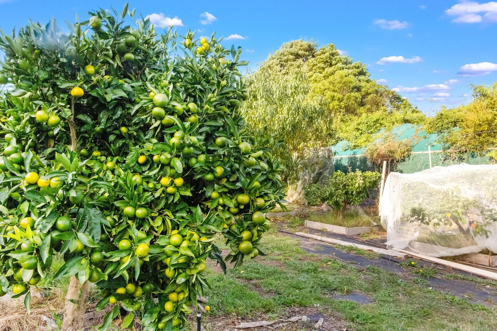 Additional image 9 of 20 Nerrena Road, Dumbalk VIC 3956