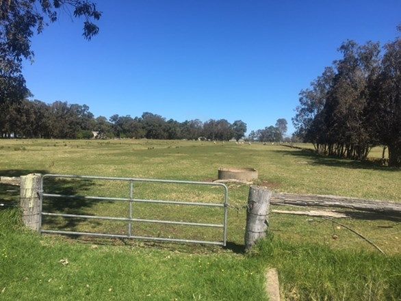 Lot 222 Korijekup Avenue, Harvey WA 6220, Image 0