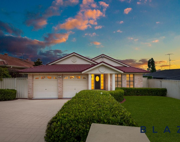 20 Rene Place, Cecil Hills NSW 2171