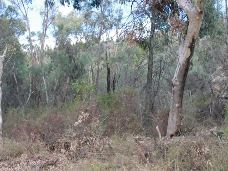 Lot 2 DP 813113 Gulf Rd, Emmaville NSW 2371, Image 2