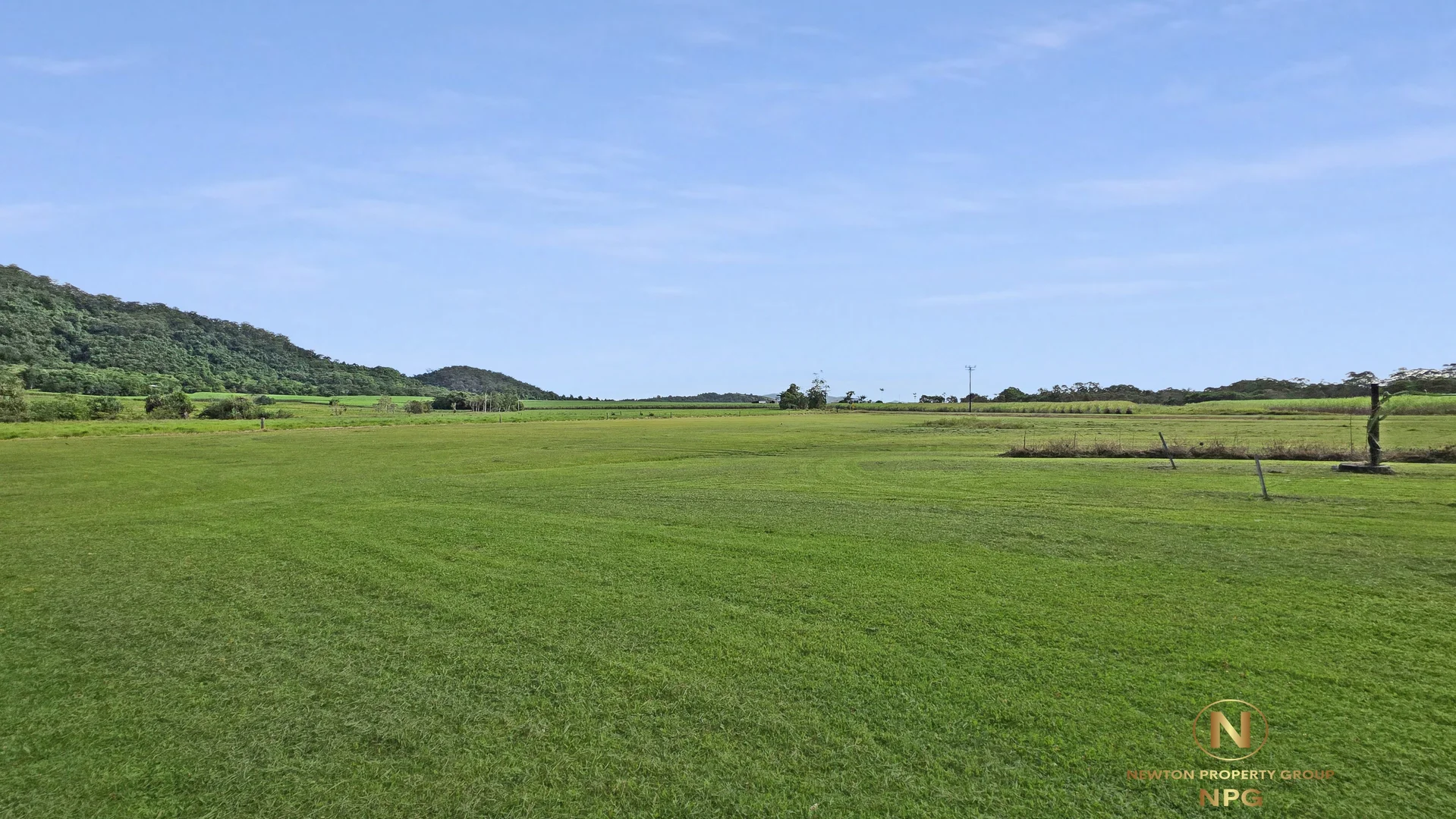Image 31