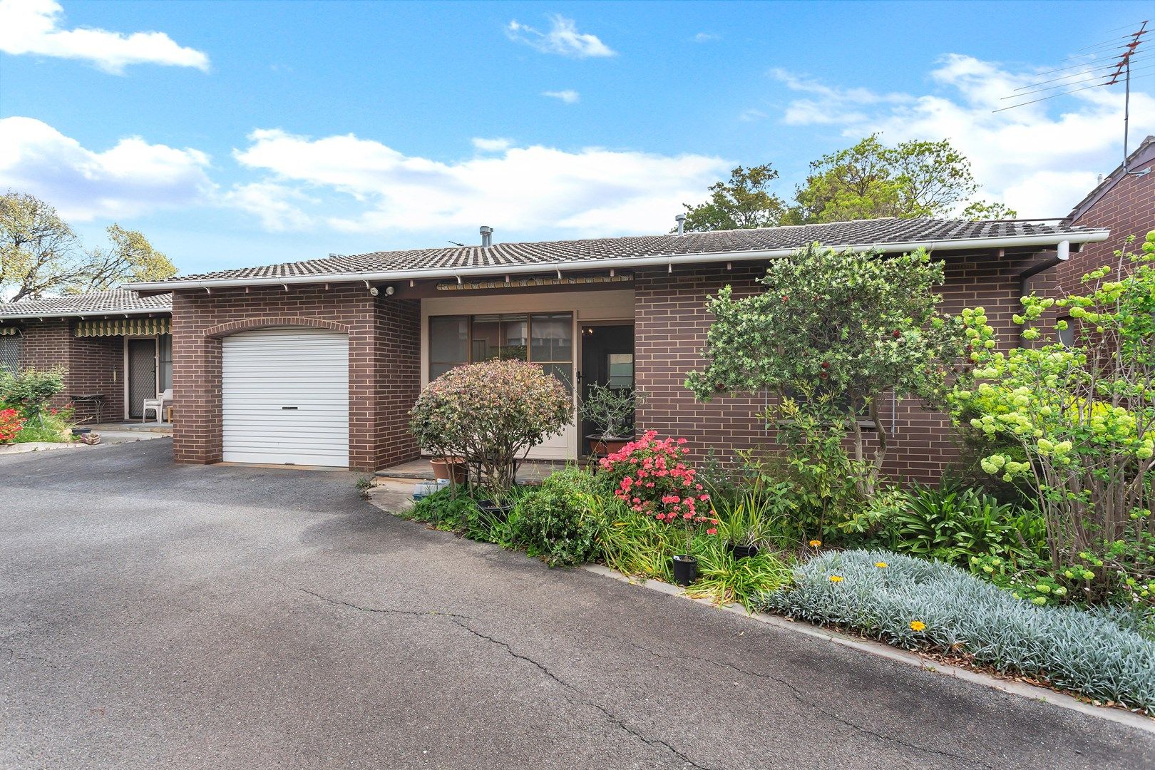 3/26 Halsbury Ave, Kingswood SA 5062, Image 0