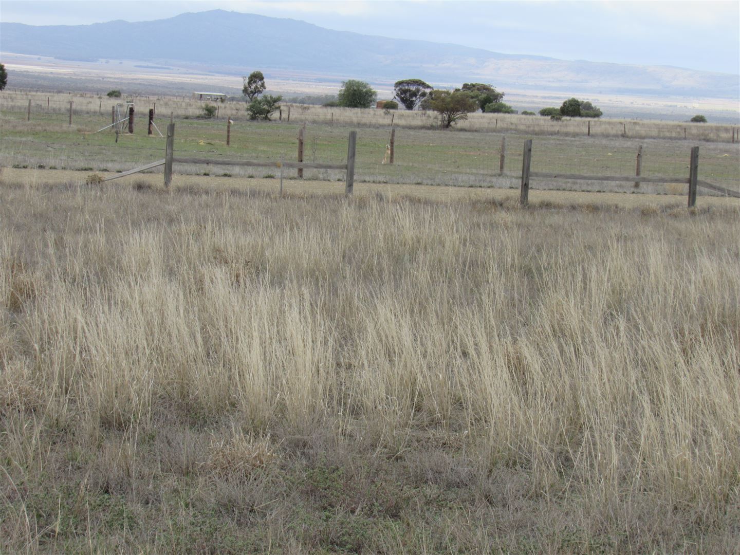 Vacant land in Lots 19 & 20 Jervoise Street, ORROROO SA, 5431