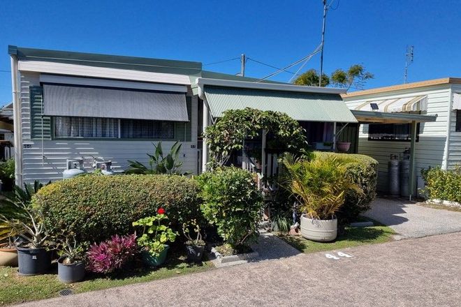 Picture of 44/63 Caloundra Road, LITTLE MOUNTAIN QLD 4551
