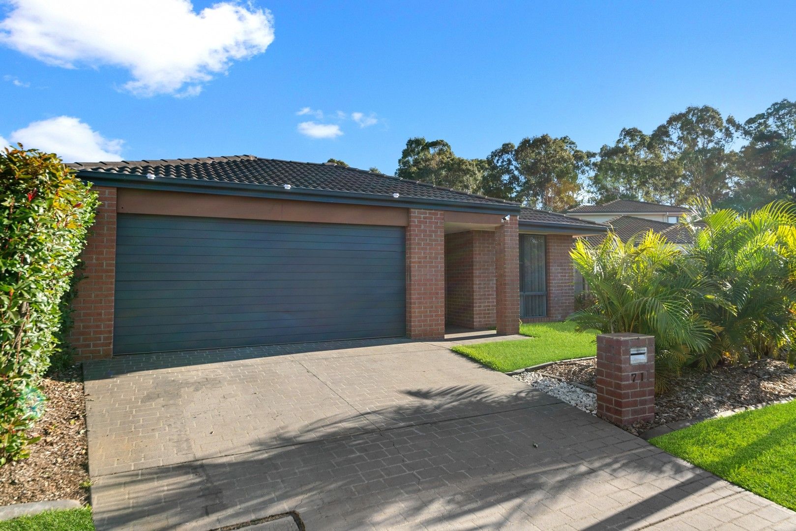 4 bedrooms House in 71 Hollywood Avenue BELLMERE QLD, 4510