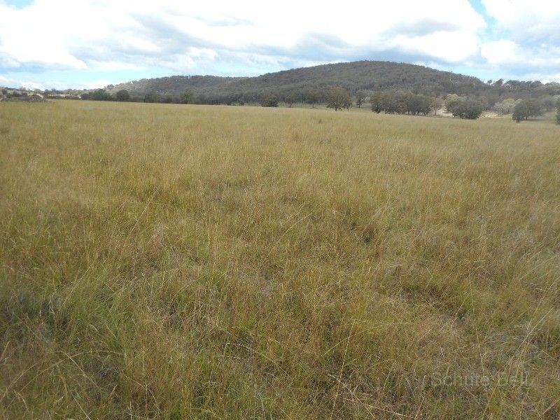 Emmaville NSW 2371, Image 1