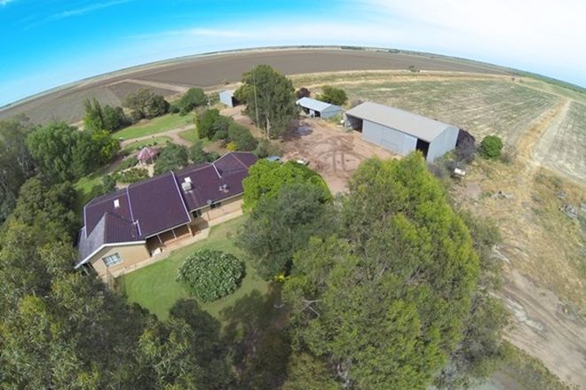 Picture of Farm 1308 Kooba Road, WHITTON NSW 2705