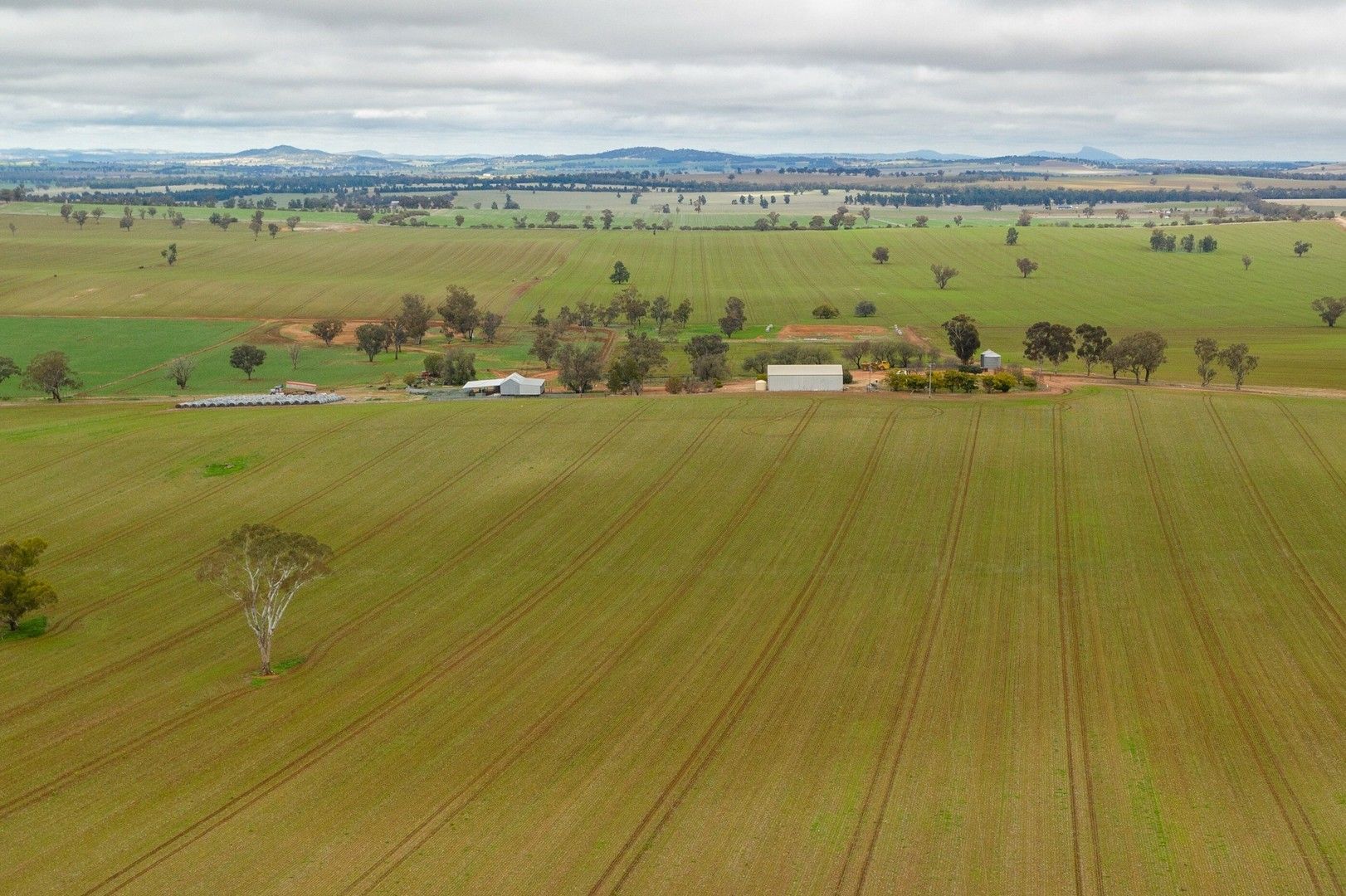 378 Chamberlains Lane.Coolamon Via, Wagga Wagga NSW 2650, Image 1