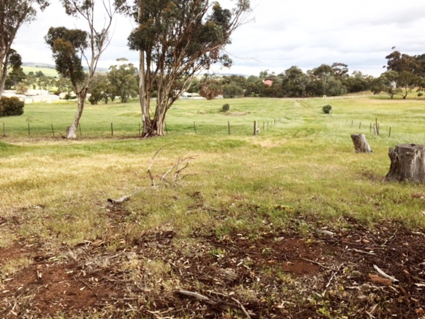 Lot 531 Curb Street, Saddleworth SA 5413, Image 0