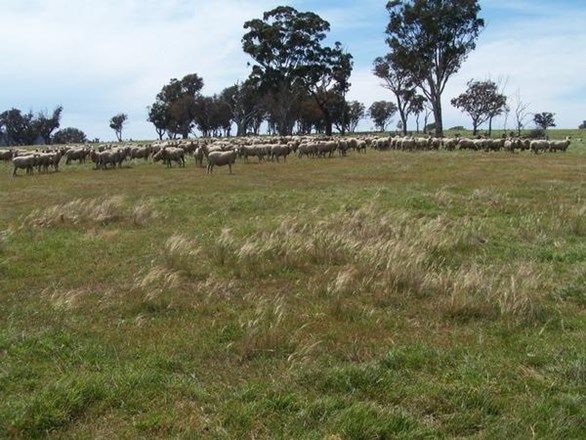 "Twin Creeks" Turkey Hill Road, Fullerton NSW 2583, Image 2