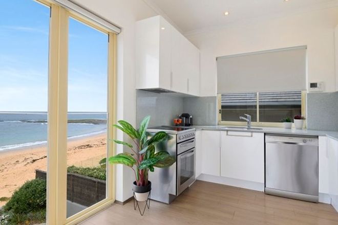 54 Rental Properties In Warriewood Beach Nsw 2102 Domain