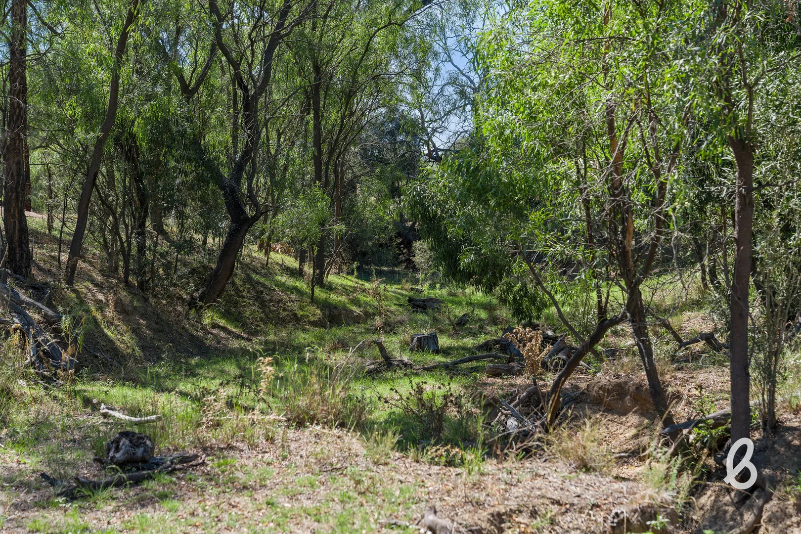 Additional image 47 of Lot 12 Redmanvale Road, Jerrys Plains NSW 2330