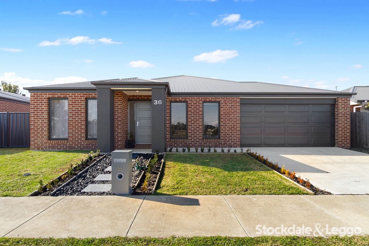 4 bedrooms House in 36 McNulty Drive TRARALGON VIC, 3844
