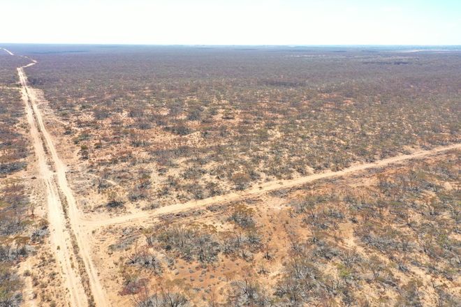 Picture of 18953 Sturt Highway, MONASH SA 5342