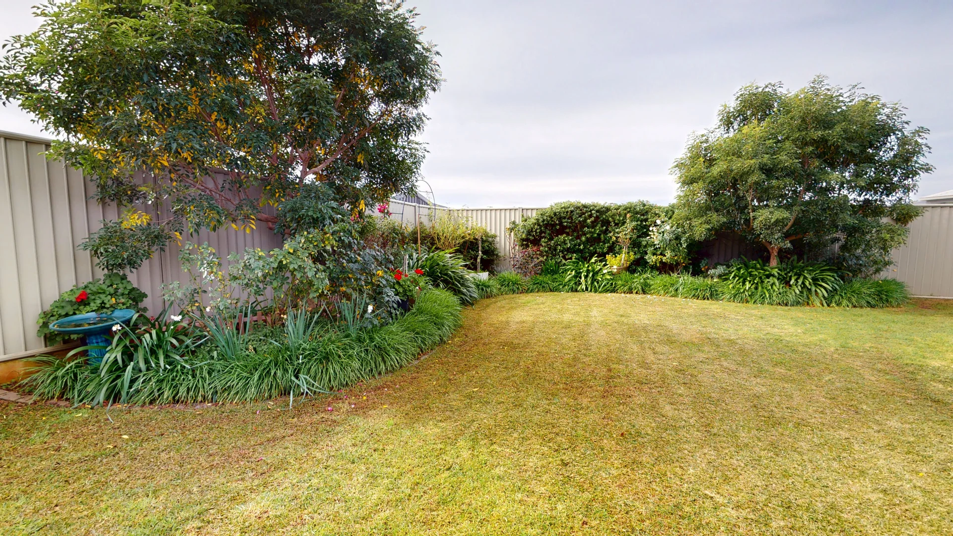 Image 25