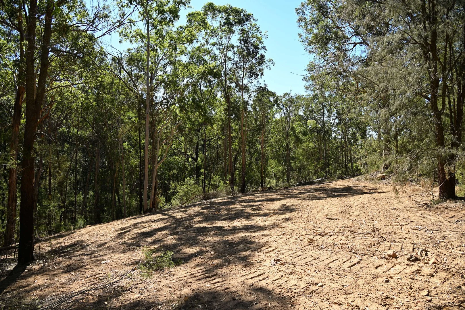 Image 6